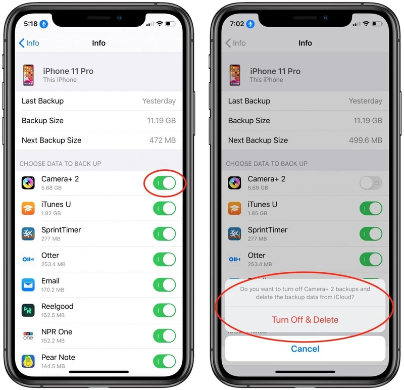 iPhone backup details listing apps and switches for including their data in iCloud Backup