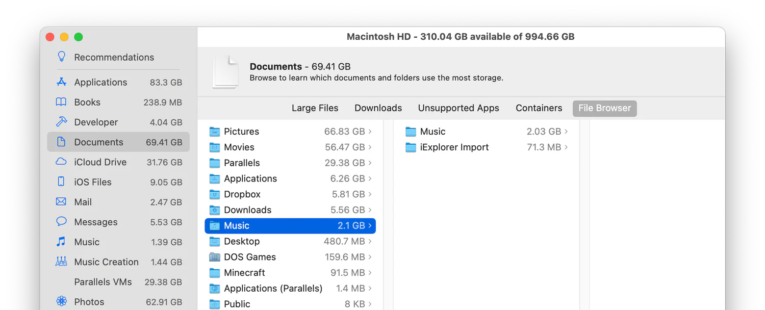Mac Storage Management window listing large files in the Documents category