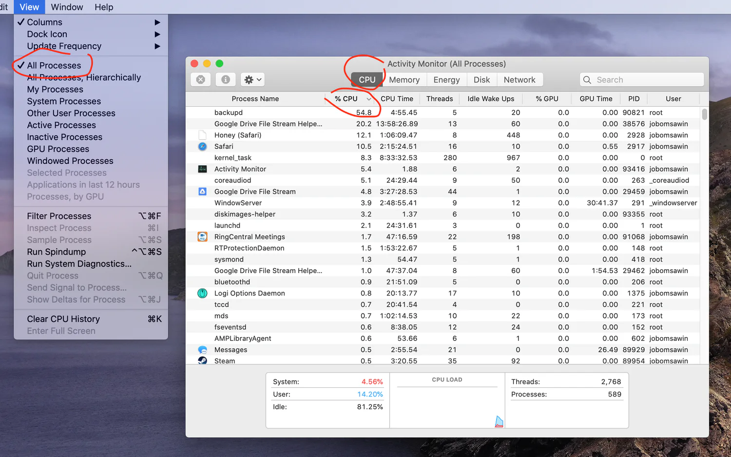 Mac Activity Monitor showing the CPU tab and percentage CPU column highlighted