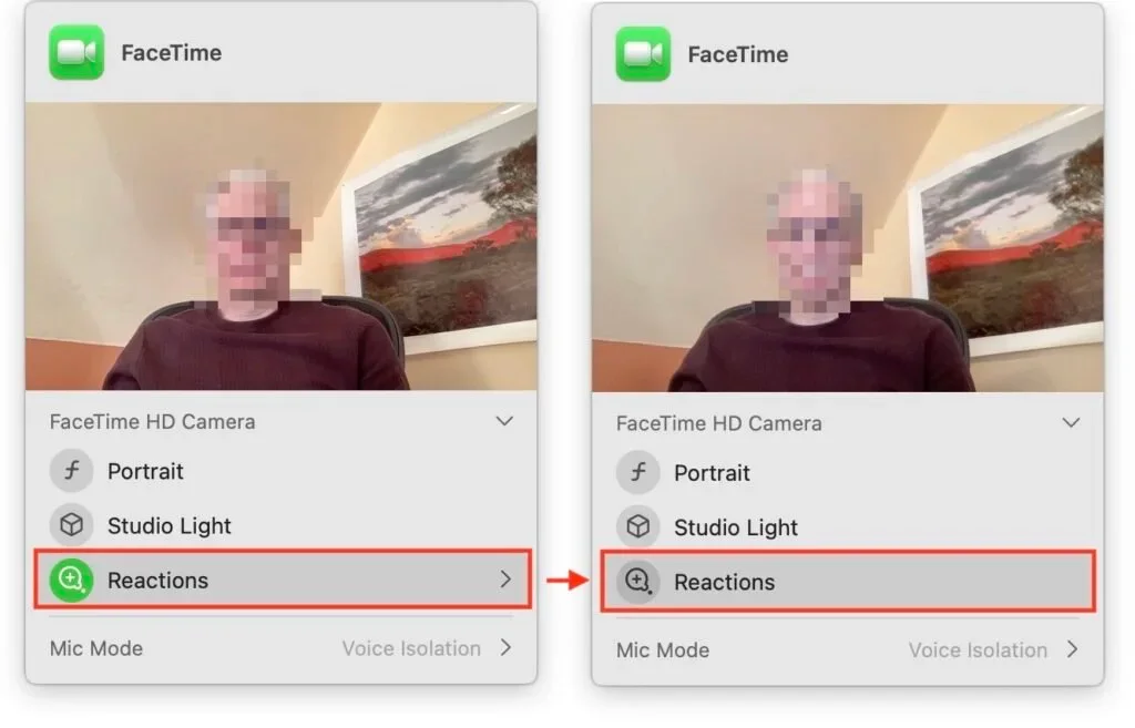 FaceTime video effects menu with the Reactions option shown enabled and disabled