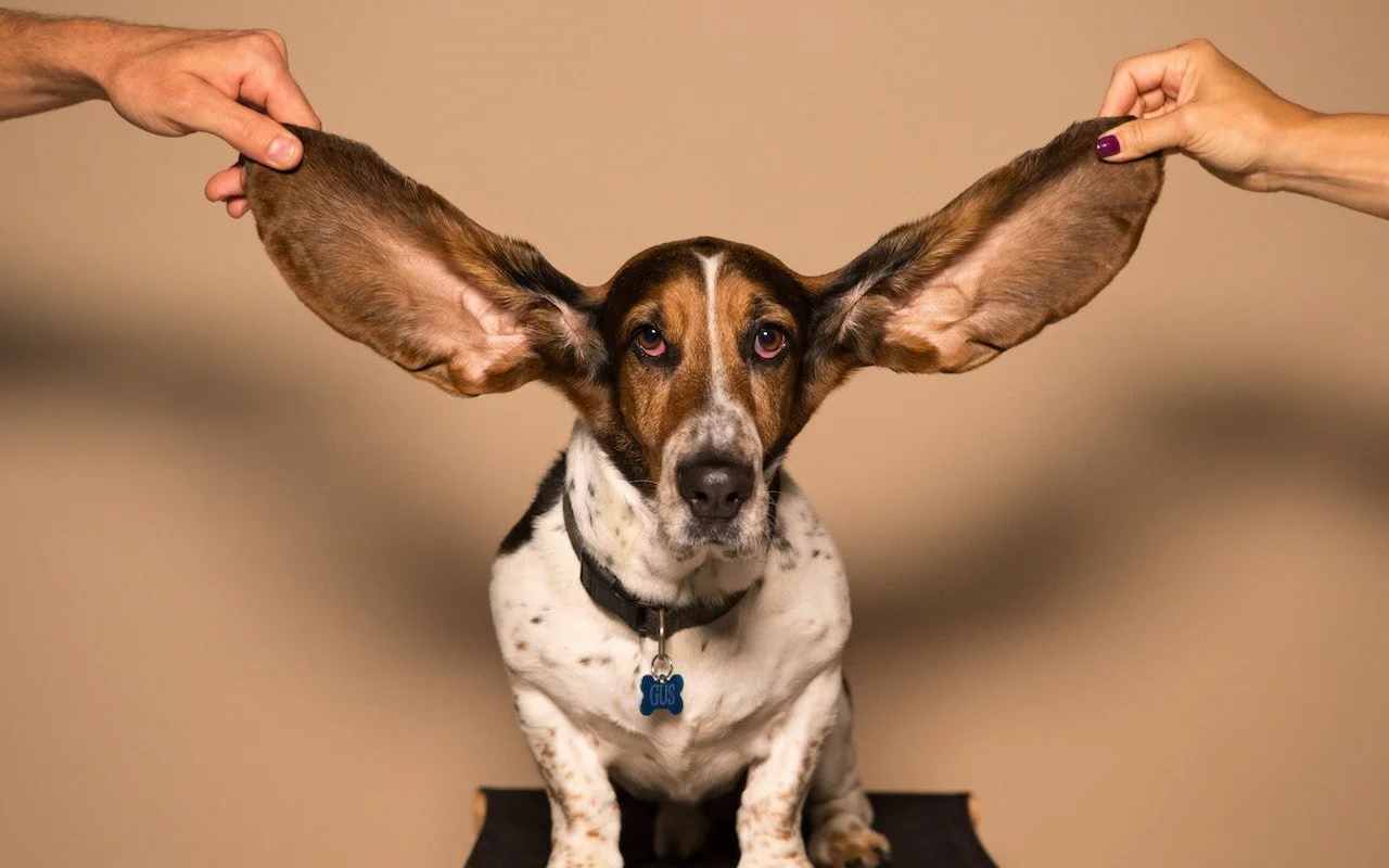 Use airpods to improve your hearing