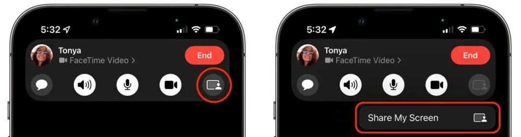FaceTime call controls with the Share My Screen button highlighted