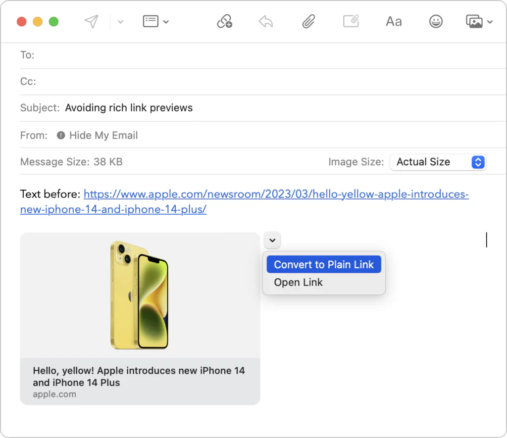 Apple Mail message with the Convert to Plain Link menu open