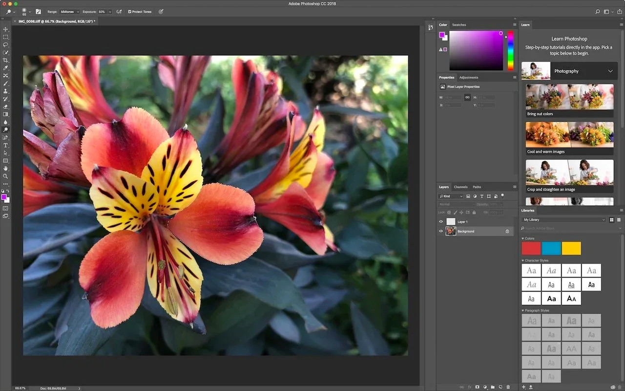 screenshot showing Adobe Photoshop CC 2018 • Protect Tones Properties Adjustments
