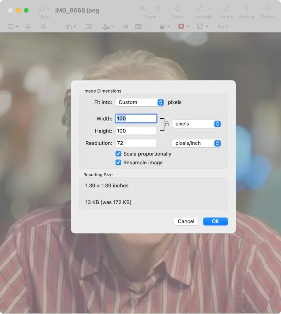 Preview Image Dimensions dialog with width, height, and resolution controls