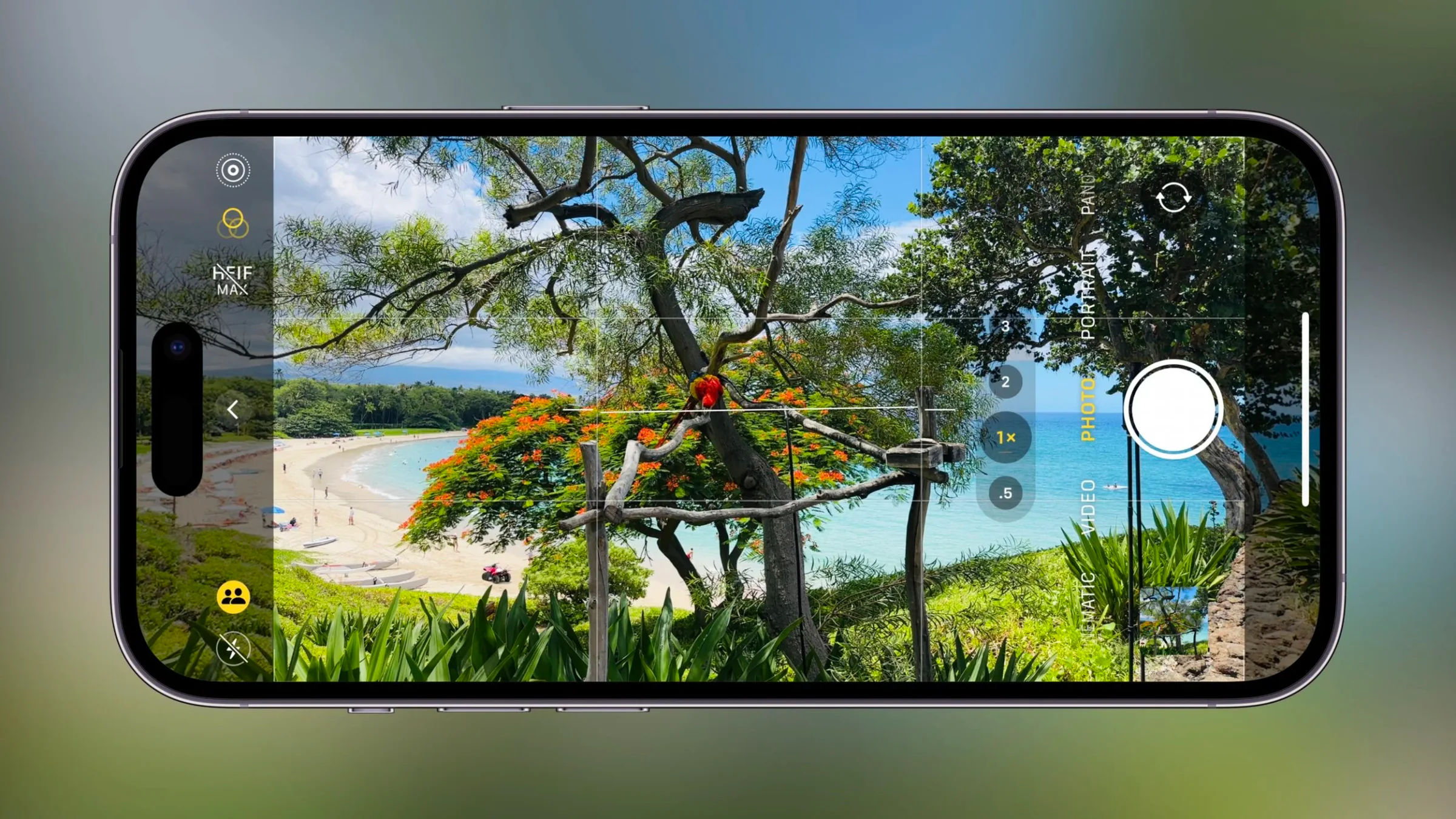 iPhone Camera framing a landscape with the level indicator visible