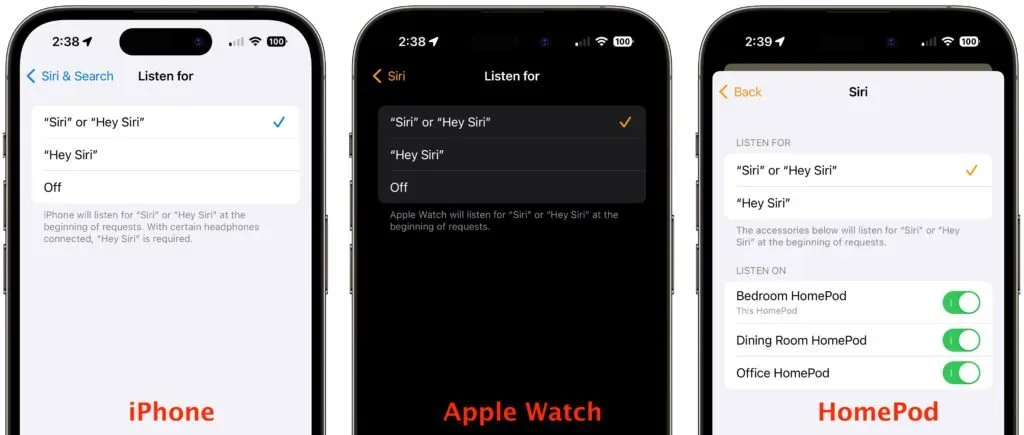 screenshot showing < Siri & Search Listen for < Siri