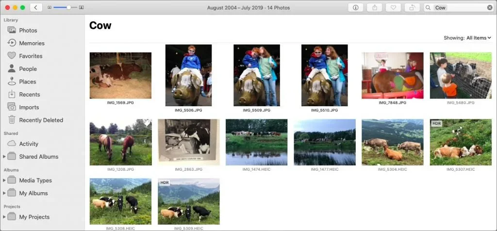 Photos search results for the keyword Cow