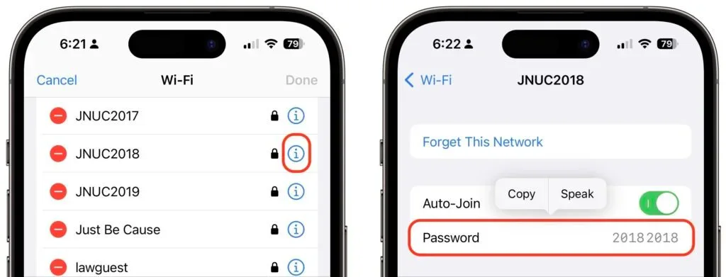 Two iPhone screens showing a saved Wi-Fi network and its revealed password
