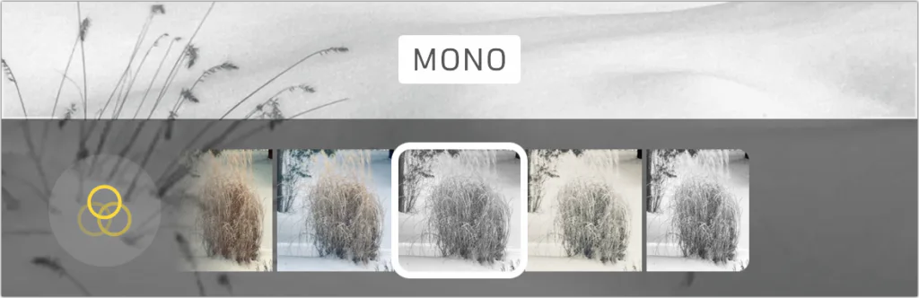 iPhone Camera portrait filter carousel set to Mono