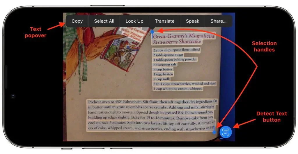 iPhone Live Text controls over a photographed book page
