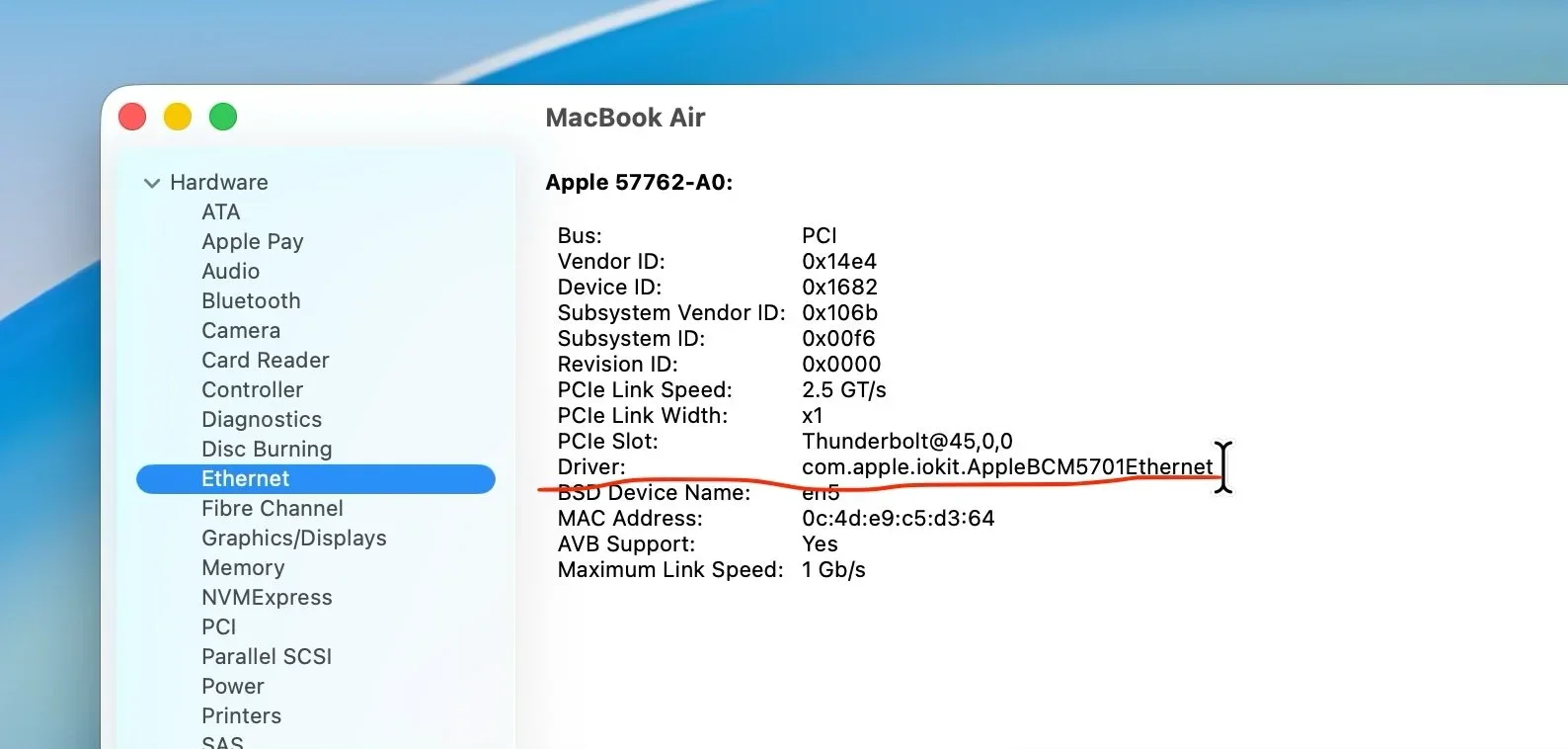 Mac System Report open to the Ethernet section, with the Driver field visible and highlighted