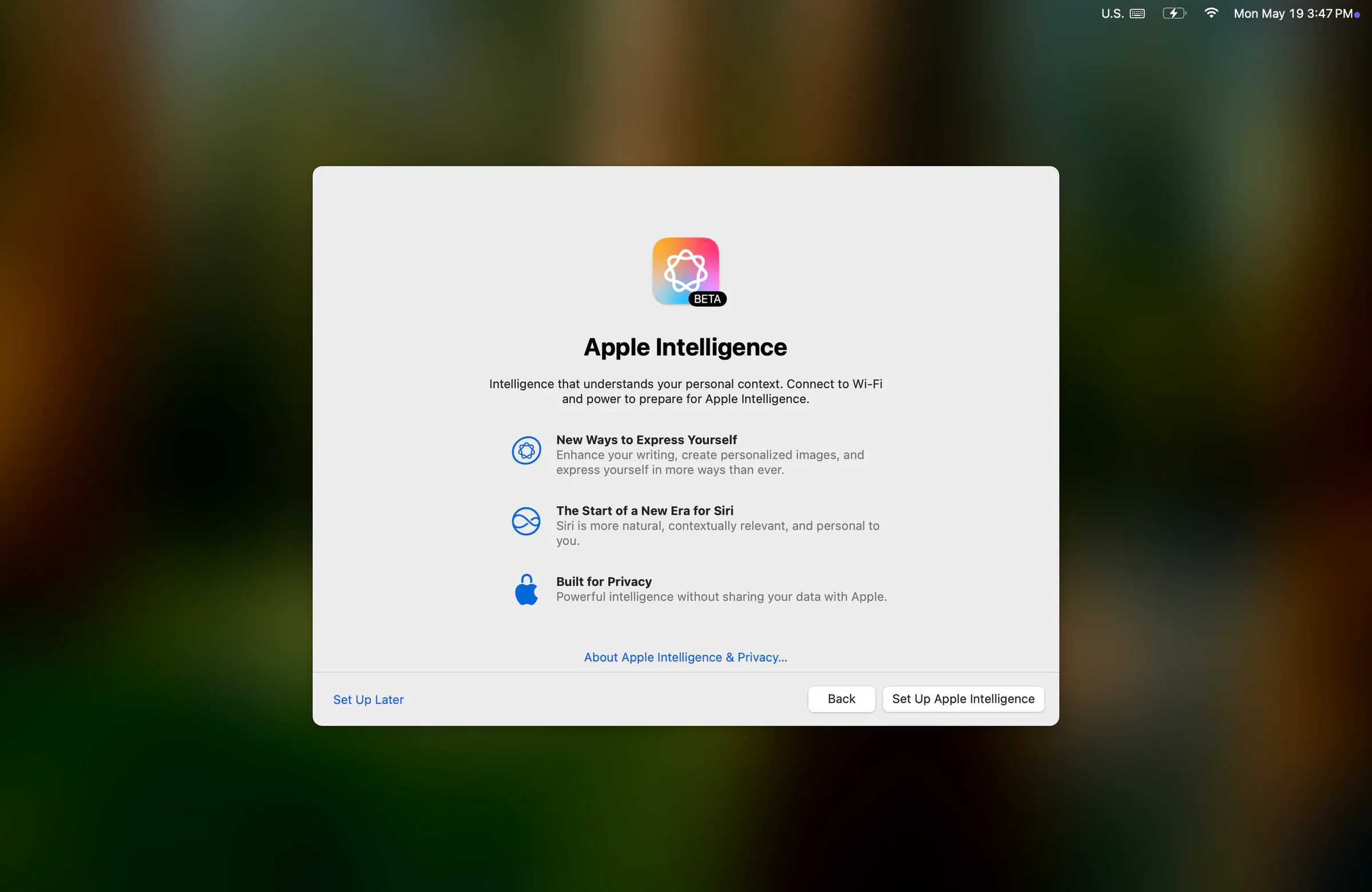 Setup screen for Apple Intelligence beta with options to set up later or proceed, featuring the Apple Intelligence logo at the top.