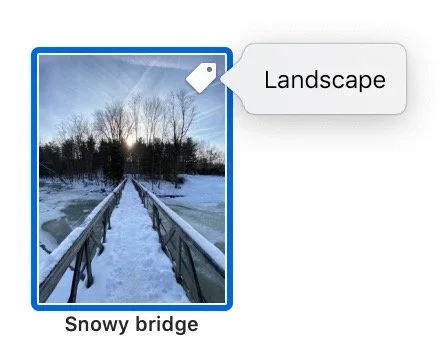 A snowy bridge photo labeled with the Landscape keyword