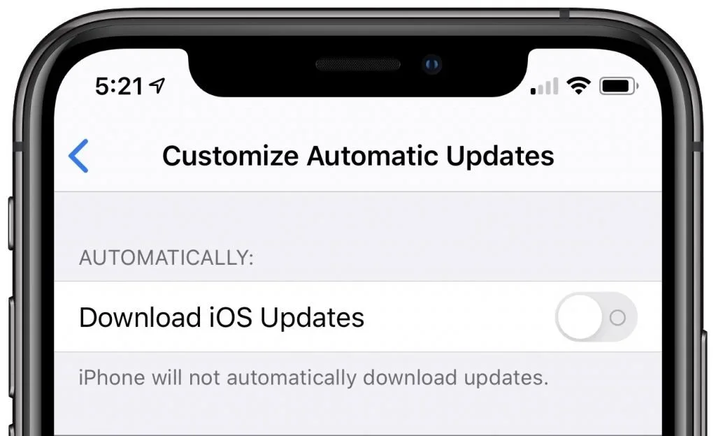 iPhone Customize Automatic Updates screen with Download iOS Updates turned off