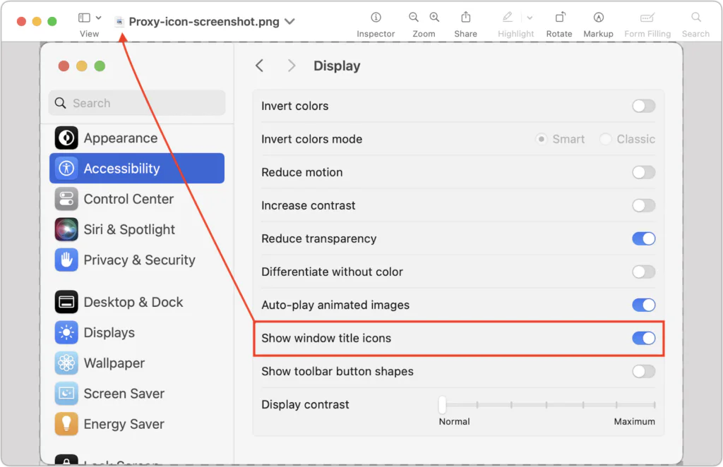 macOS Accessibility Display settings with Show window title icons highlighted