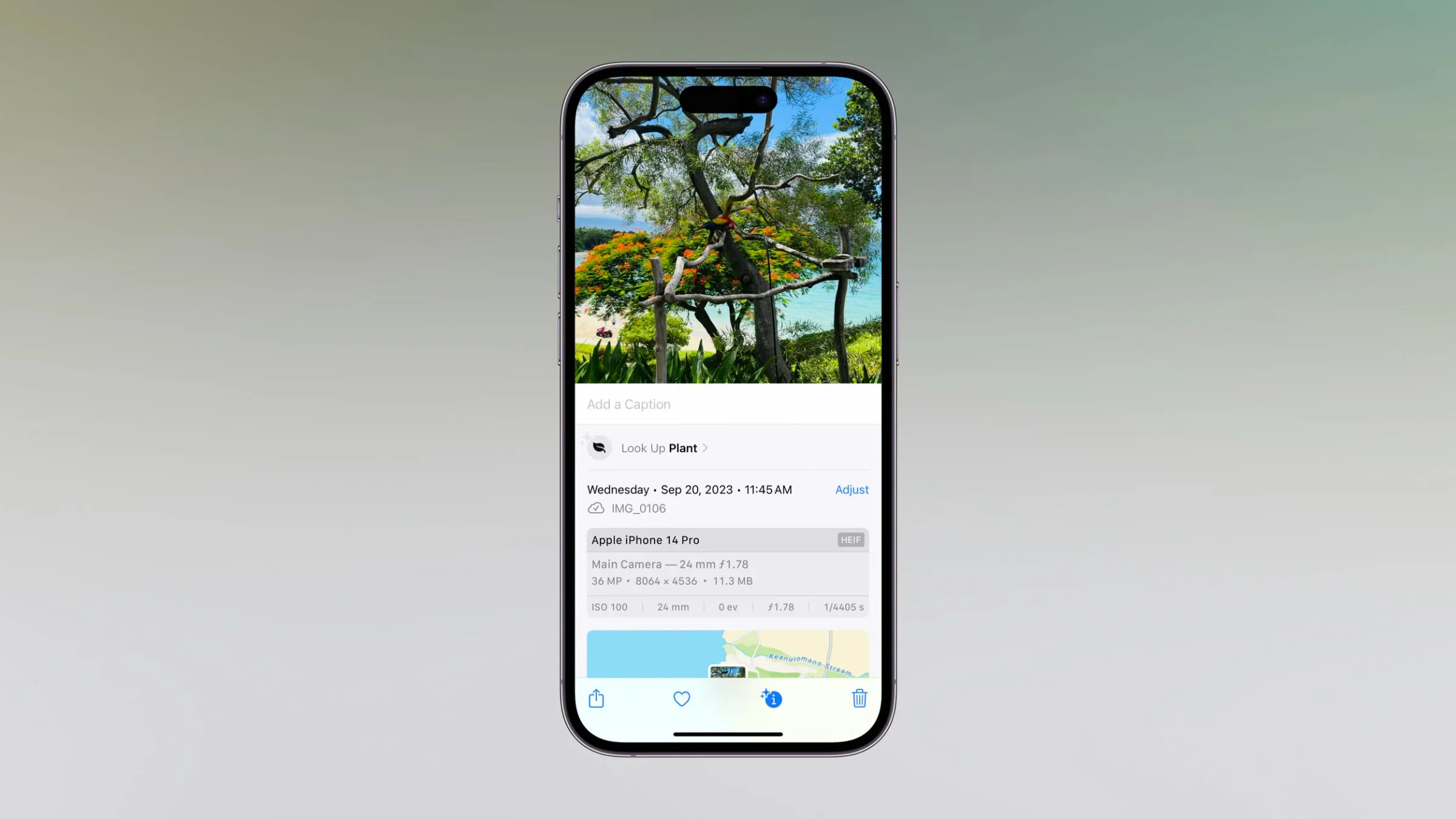 iPhone Photos Info screen showing details and a map for a landscape photo
