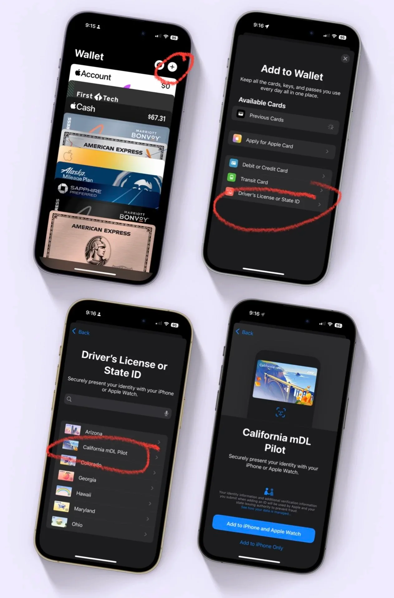 Four iPhone screens showing how to add and present a California driver's license in Wallet
