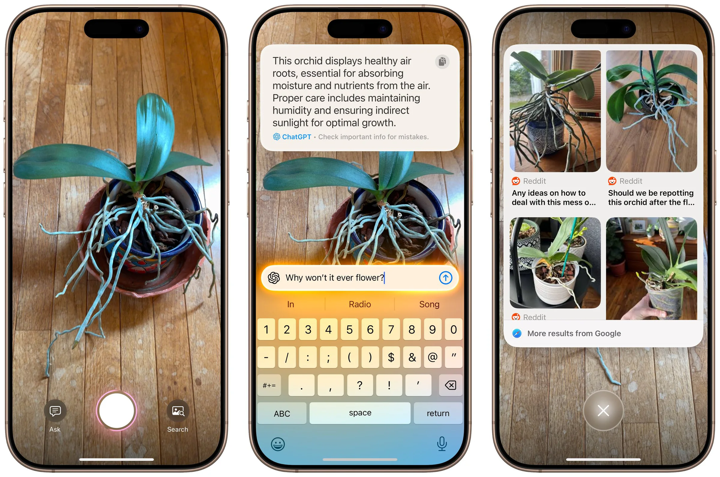 Three iPhones using Visual Intelligence to identify and get care advice for an orchid