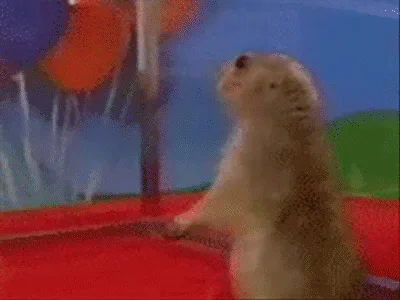 Animated hamster excitedly raising and lowering its front paws