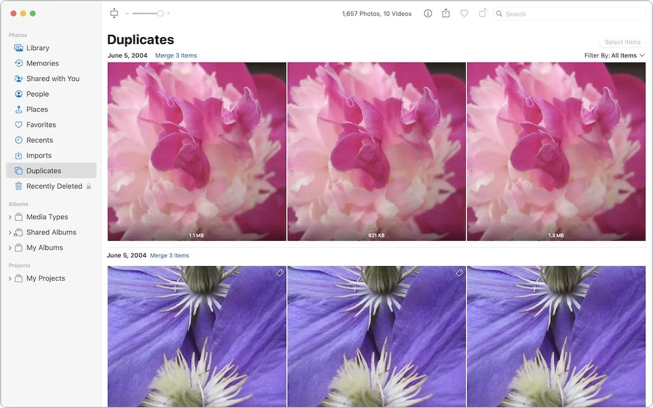 Mac Photos Duplicates album showing repeated flower photographs