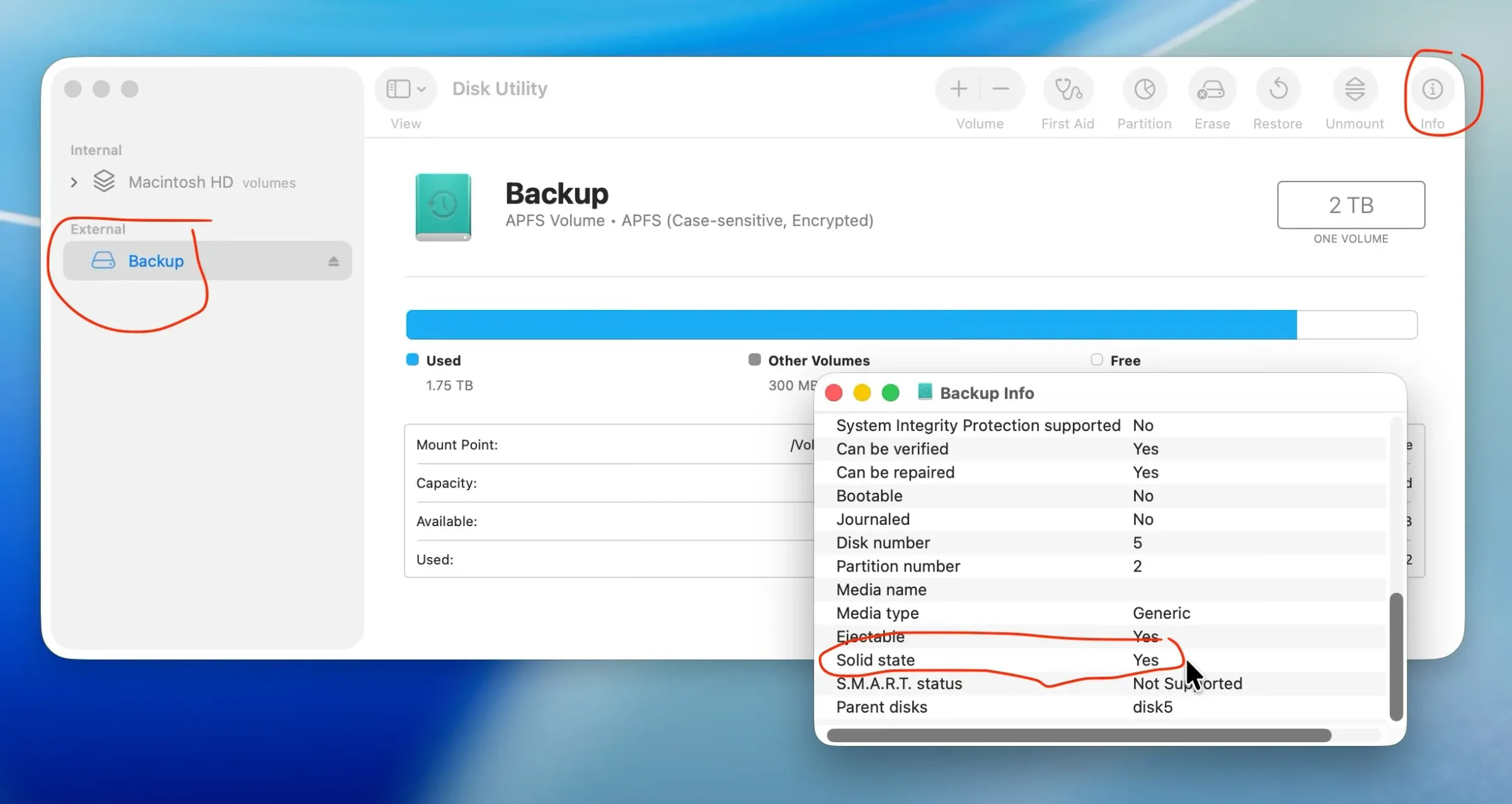 Mac storage information and disk-speed results for a 2 TB backup SSD