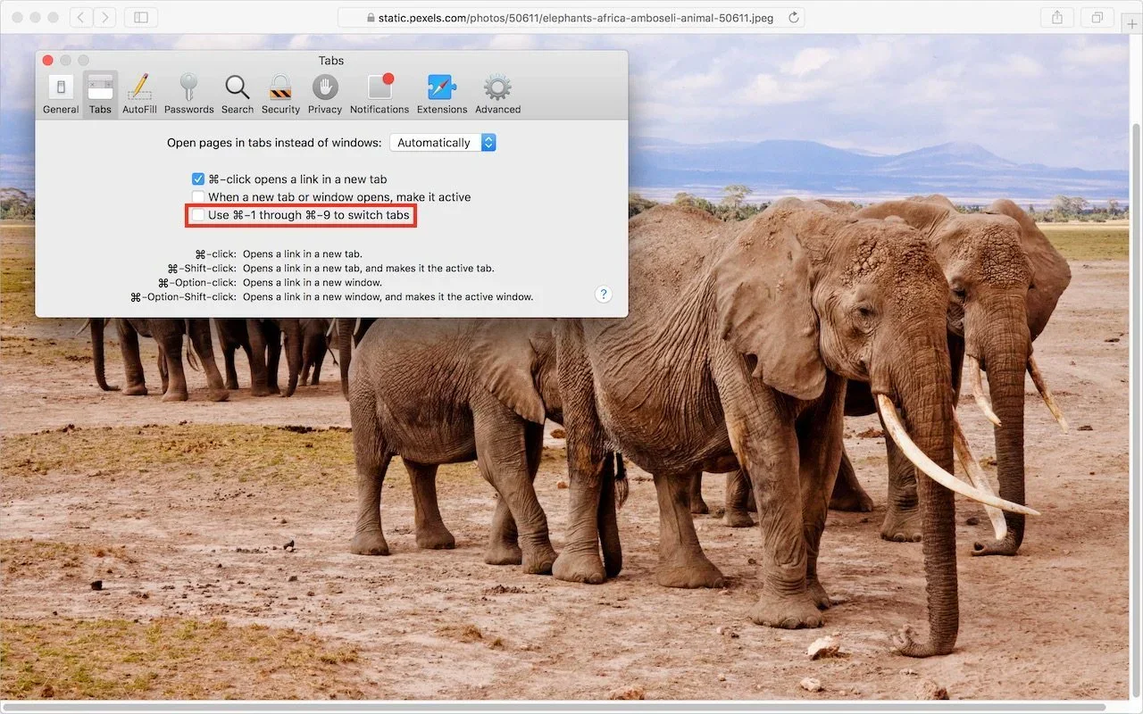 screenshot showing Tabs Open pages in tabs instead of windows: Automatically