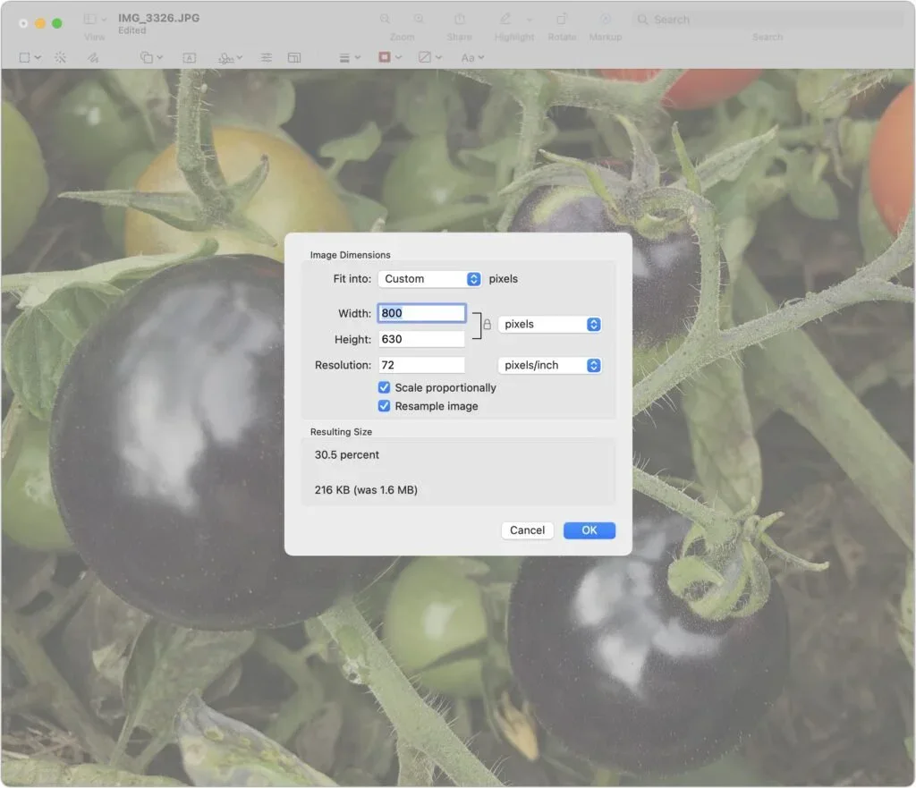 Preview Image Dimensions dialog displayed over a photograph of an eggplant