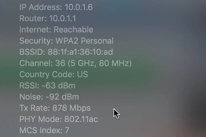 Screencapture showing the hidden WiFi connection details