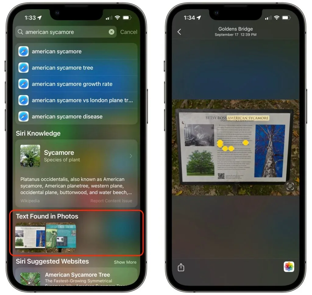 iPhone selecting a plant name from text recognized in a photo