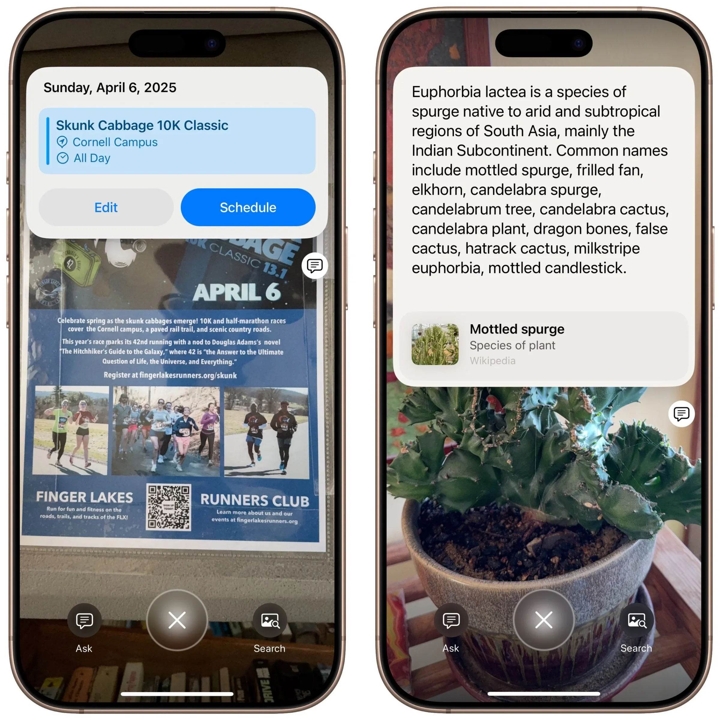 Two iPhones using Visual Intelligence to add an event and identify a plant