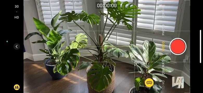iPhone Camera recording a spatial video of houseplants